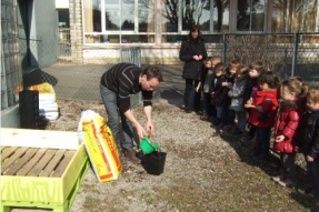 Graines d'Ecolier : plus de 60 écoles mobilisées autour d'un projet 100 % Côte-d'Orien.