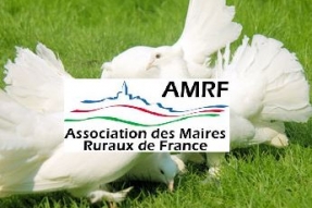 HALTE AU TIR AUX PIGEONS.