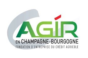 Bilan 2014 de la Fondation " AGIR en Champagne-Bourgogne "