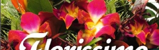 Florissimo 2015
