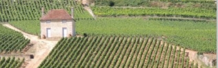 La Bourgogne : destination touristique de portée internationale 