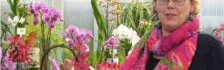 Gemeaux, capitale du grand-est de l'orchidée?
