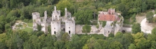 Sauvons le Château de Rochefort en Bourgogne