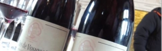 La cuvée mystère de la Saint-Vincent tournante lève le voile.