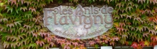 L'anis a maintenant son joli musée !