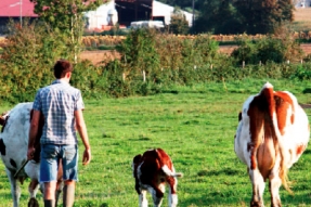 Le secteur bio... levier de développement durable et équitable pour la future grande Région ?