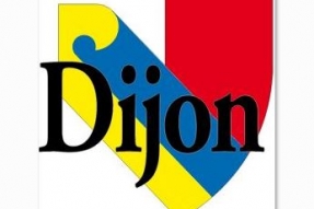 Les Dijonnais peuvent proposer des projets participatifs