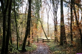19ème Rencontres du Conservatoire d'espaces naturels de Bourgogne 
