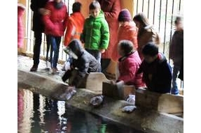 Tout un art au lavoir avec les enfants de Thoisy la Berchère et de Semur en Auxois !