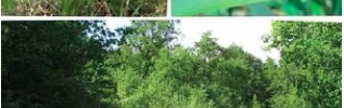 Rendez-vous nature en Bourgogne, saison 2016