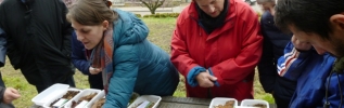 A déchets verts bien gérés, jardin bien cultivé !