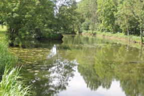 Mirebeau-sur-Bèze inaugure le Marais de la Rosière, Espace Naturel Sensible de Côte-d'Or,