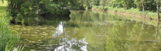 Mirebeau-sur-Bèze inaugure le Marais de la Rosière, Espace Naturel Sensible de Côte-d'Or,