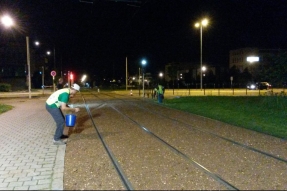 2ème phase d'expérimentation de végétalisation des plates formes de roulement du Tram.