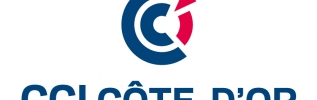 Voter pour les CCI, c'est voter pour le développement économique.