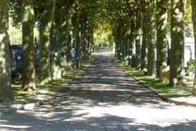 Zéro phyto au cimetière des Péjoces !