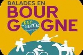 L'appli Balades en Bourgogne a dépassé les 15000 téléchargements.