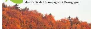 Le GIP du futur Parc Champagne et Bourgogne donne la parole aux habitants