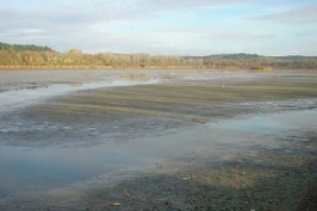 Vidange de l'étang de Marcenay ; une première opération de gestion de grande envergure