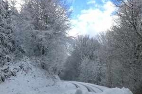 Grand froid en Côte-d'Or.