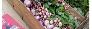 La ruche qui dit oui !... aux produits locaux 