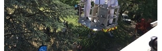 Printemps de la biodiversité  : 240 000 abeilles s'installent dans les Jardins du Département