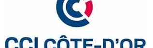 Les RV périodiques de la CCI21