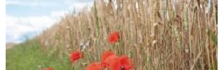 Quetigny recherche un producteur bio