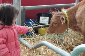Lancement d'une enquête publique auprès des agriculteurs de Côte-d'Or.
