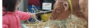 Lancement d'une enquête publique auprès des agriculteurs de Côte-d'Or.