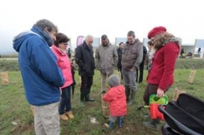 Forêt des enfants : 2 000 arbres pour 2 000 naissances