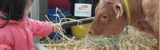 La ferme Côte-d'Or fête ses 10 ans à la foire de Dijon