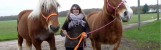 Ludivine bachotet : passionnée de chevaux comtois
