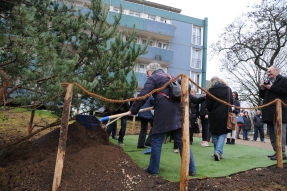 Quetigny a planté le 1er arbre du projet « Quetigny Coeur de ville » 