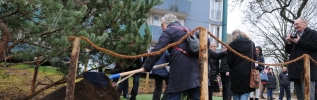 Quetigny a planté le 1er arbre du projet « Quetigny Coeur de ville » 