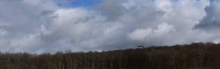 Barrage de Pont-et-Massène, un Super Puma a posé la passerelle-escalier.