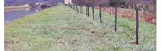 Prix "Allées d'arbres" du concours "sauvegarde du Patrimoine" 2018 