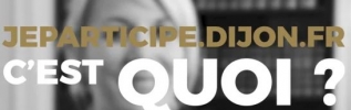Dijon intègre des outils numériques à sa démocratie locale