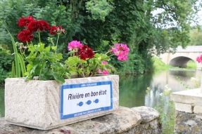 Les Hautes Tilles obtiennent le label « Rivière en bon état »