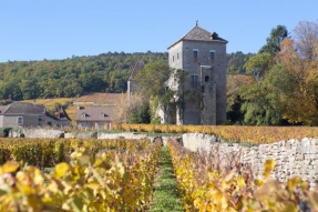 Un plan climat au milieu des Climats de Bourgogne