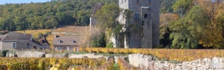 Un plan climat au milieu des Climats de Bourgogne