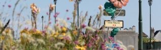 Villes et villages fleuris... plus que des fleurs !