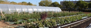 Le Potager des ducs, un pas vers l'autosuffisance alimentaire de Dijon Métropole