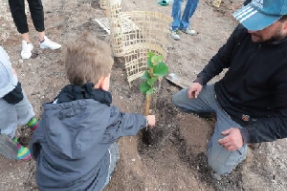 Forêt des enfants : les arbres prennent racine !