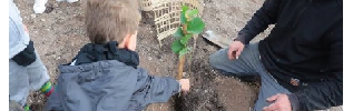 Forêt des enfants : les arbres prennent racine !