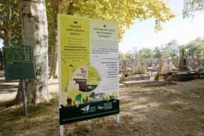 Dijon sans glyphosate
