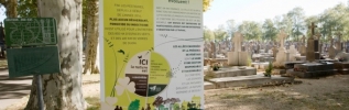 Dijon sans glyphosate