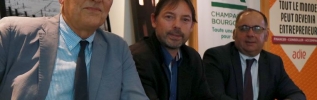 Faciliter la création de microentreprises