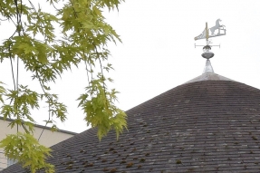 Budgets participatifs, DIJON : Une girouette sur le toit de l'école maternelle Clemenceau