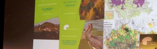 J-133 jours pour la création du Parc national de forêts situé en Champagne et Bourgogne, après 10 ans de travail du GIP !